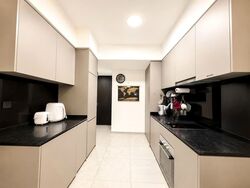 Park Colonial (D13), Condominium #560608471